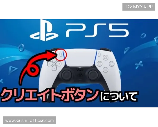 凯时官网入口：官方入口最新版本更新及使用指南