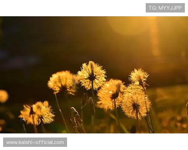 尊龙凯时人生就是用行动书写属于自己的精彩篇章 尊龙凯时人生就是用行动书写属于自己的精彩篇章