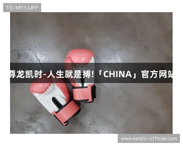 深入了解凯时尊龙最新网站的功能与特色