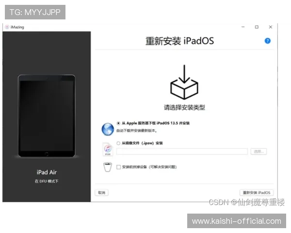 凯时KS手机登录常见问题及解决方法帮助新手快速掌握登录技巧提升体验